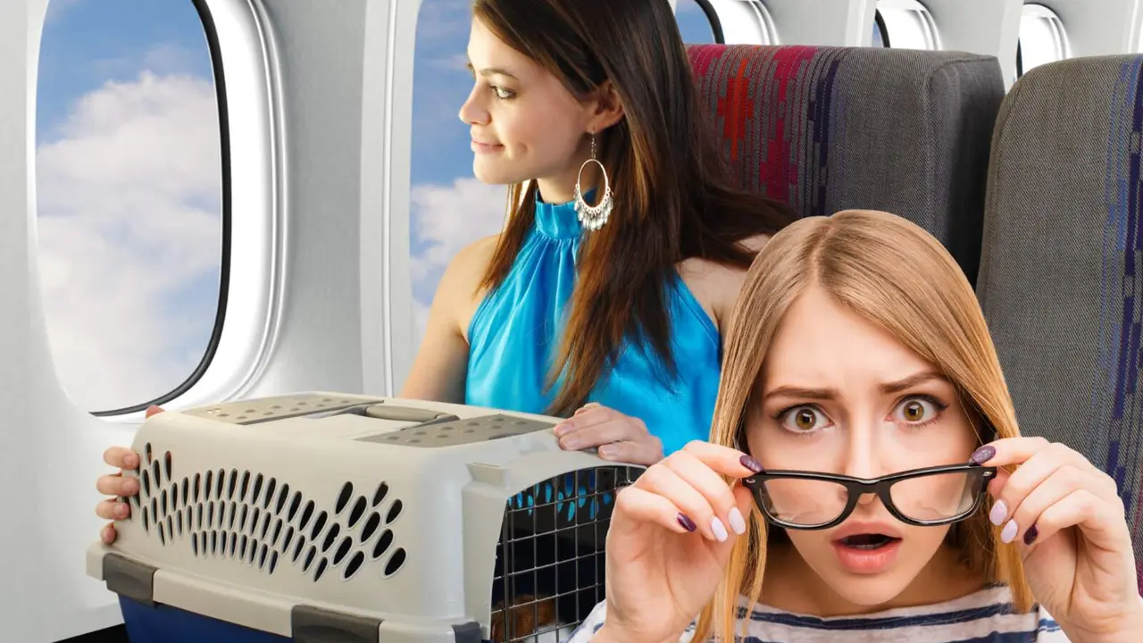Nuevas reglas para viajar con tu mascota
